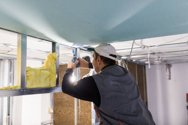 Best Blown-in Insulation in Port Allen, LA