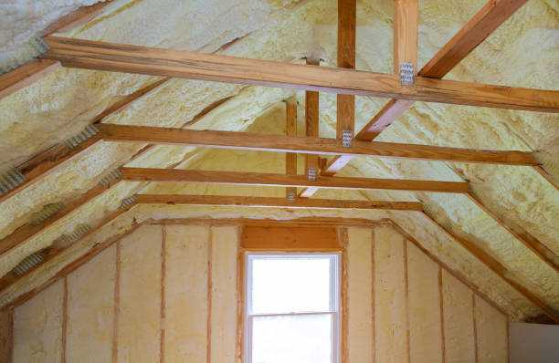 Best Geographic-Specific Insulation Services in Port Allen, LA