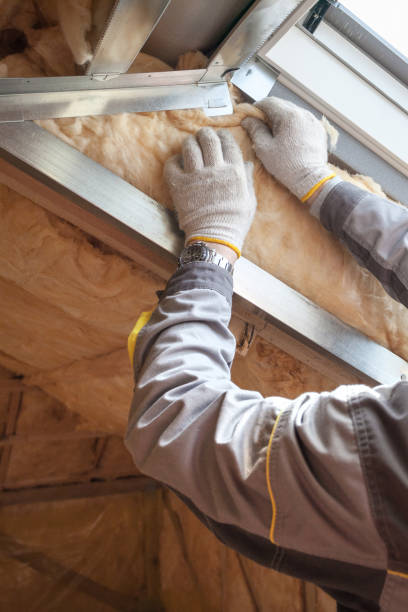 Best Insulation Maintenance and Repair in Port Allen, LA