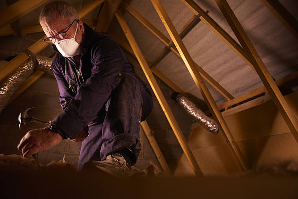 Best Insulation Maintenance and Repair in Port Allen, LA