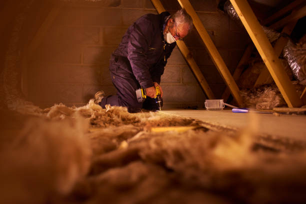 Best DIY Insulation Kits and Guidance in Port Allen, LA